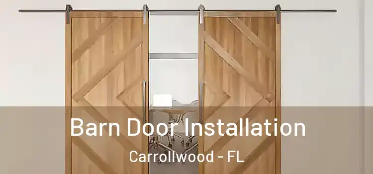 Barn Door Installation Carrollwood - FL