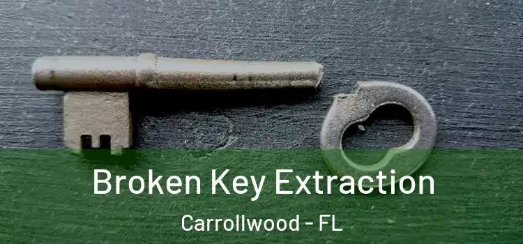 Broken Key Extraction Carrollwood - FL