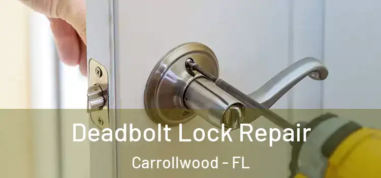 Deadbolt Lock Repair Carrollwood - FL