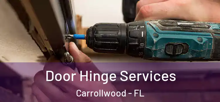 Door Hinge Services Carrollwood - FL