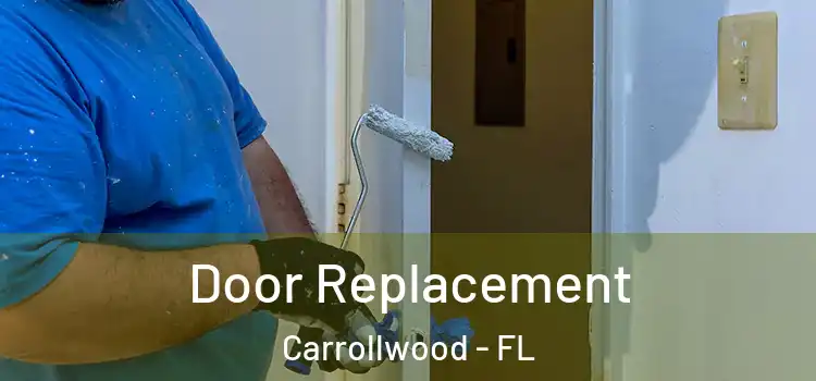 Door Replacement Carrollwood - FL
