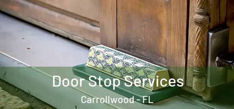 Door Stop Services Carrollwood - FL