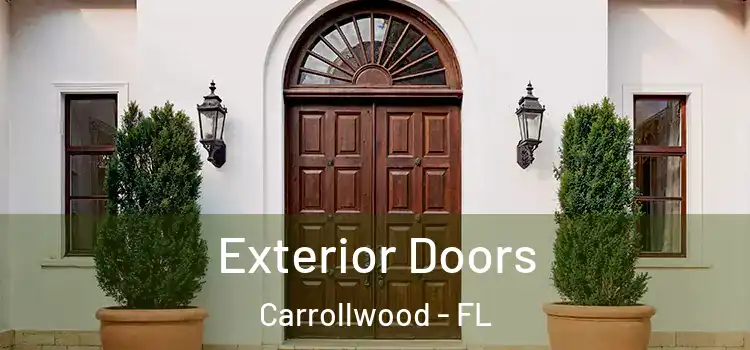 Exterior Doors Carrollwood - FL