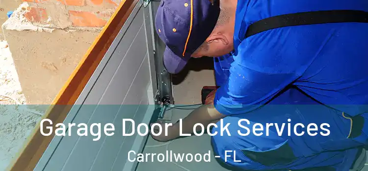 Garage Door Lock Services Carrollwood - FL