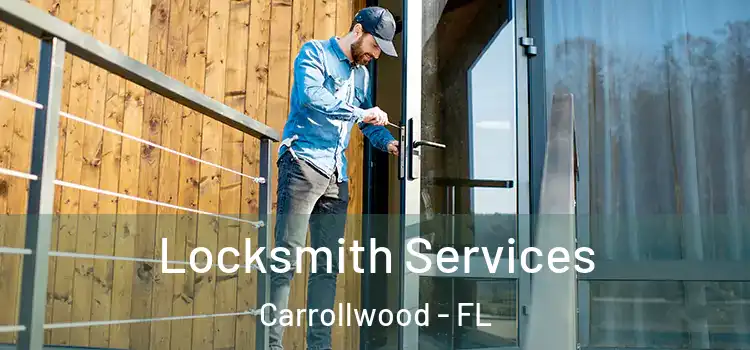  Locksmith Services Carrollwood - FL