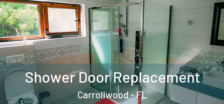 Shower Door Replacement Carrollwood - FL