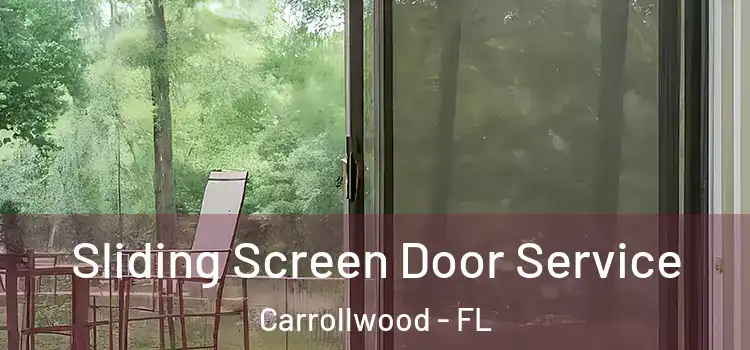 Sliding Screen Door Service Carrollwood - FL