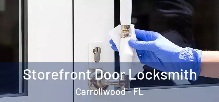 Storefront Door Locksmith Carrollwood - FL